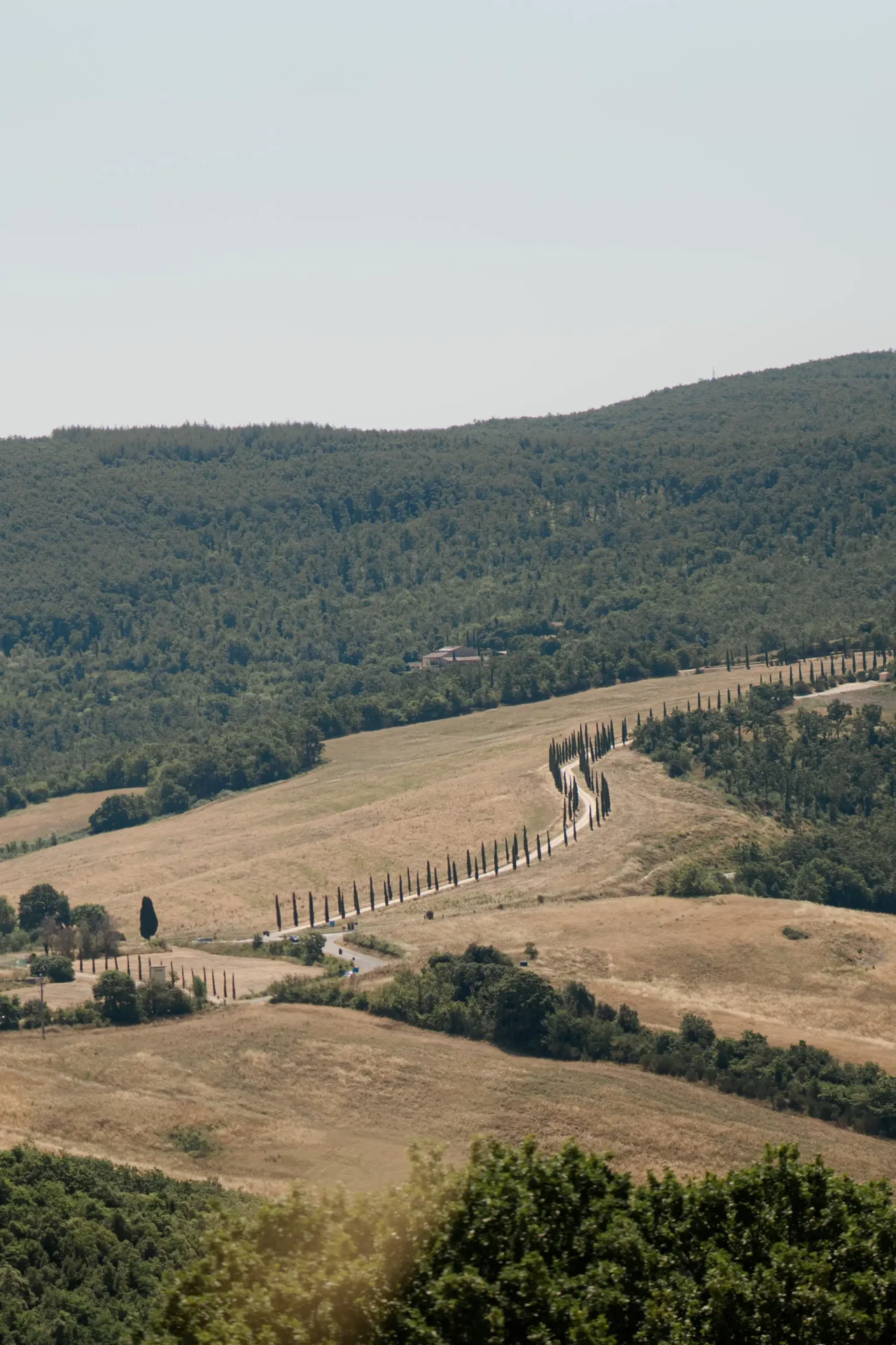 Wedding in Siena