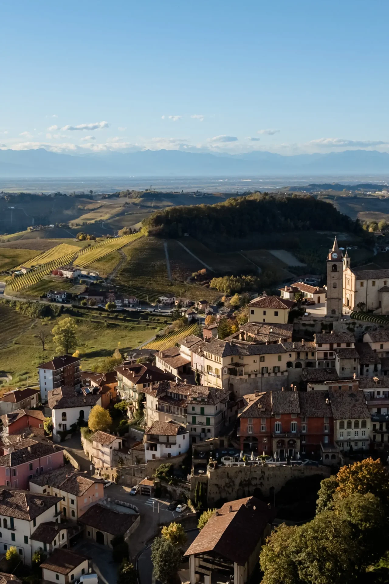 wedding in Monforte d'Alba